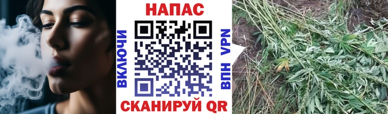 Бошки Шишки SATIVA & INDICA  Усинск 