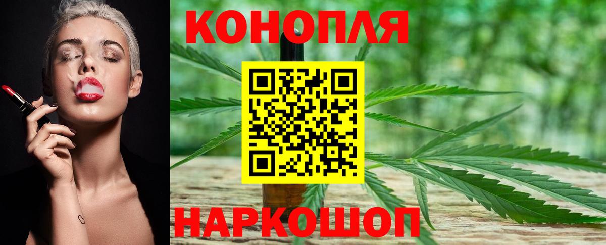 Бошки марихуана план  Канабис сатива  Каннабис OG Kush  МАРИХУАНА план  Усинск  Вход с VPN 